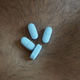 Image for article titled Federal Judge Rules That Employers Can Refuse to Cover HIV Prevention Drugs on Religious Grounds